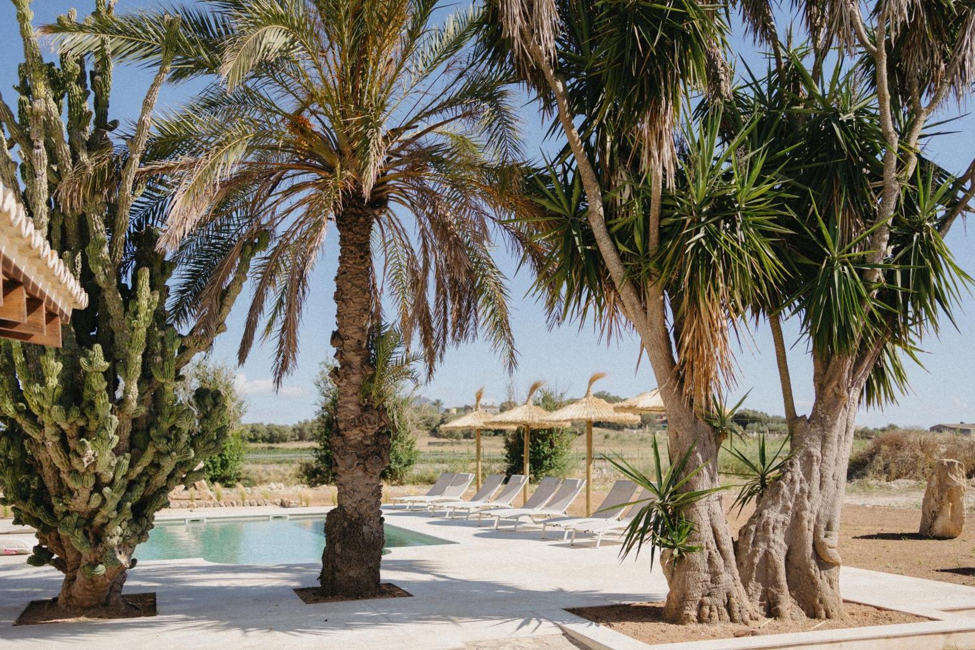 Vino Resort Son Amaret Son Macia  Екстериор снимка