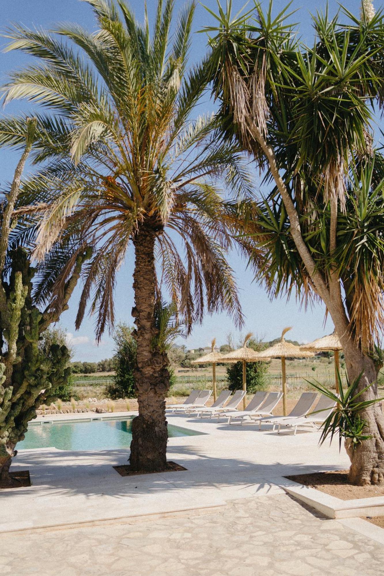 Vino Resort Son Amaret Son Macia  Екстериор снимка