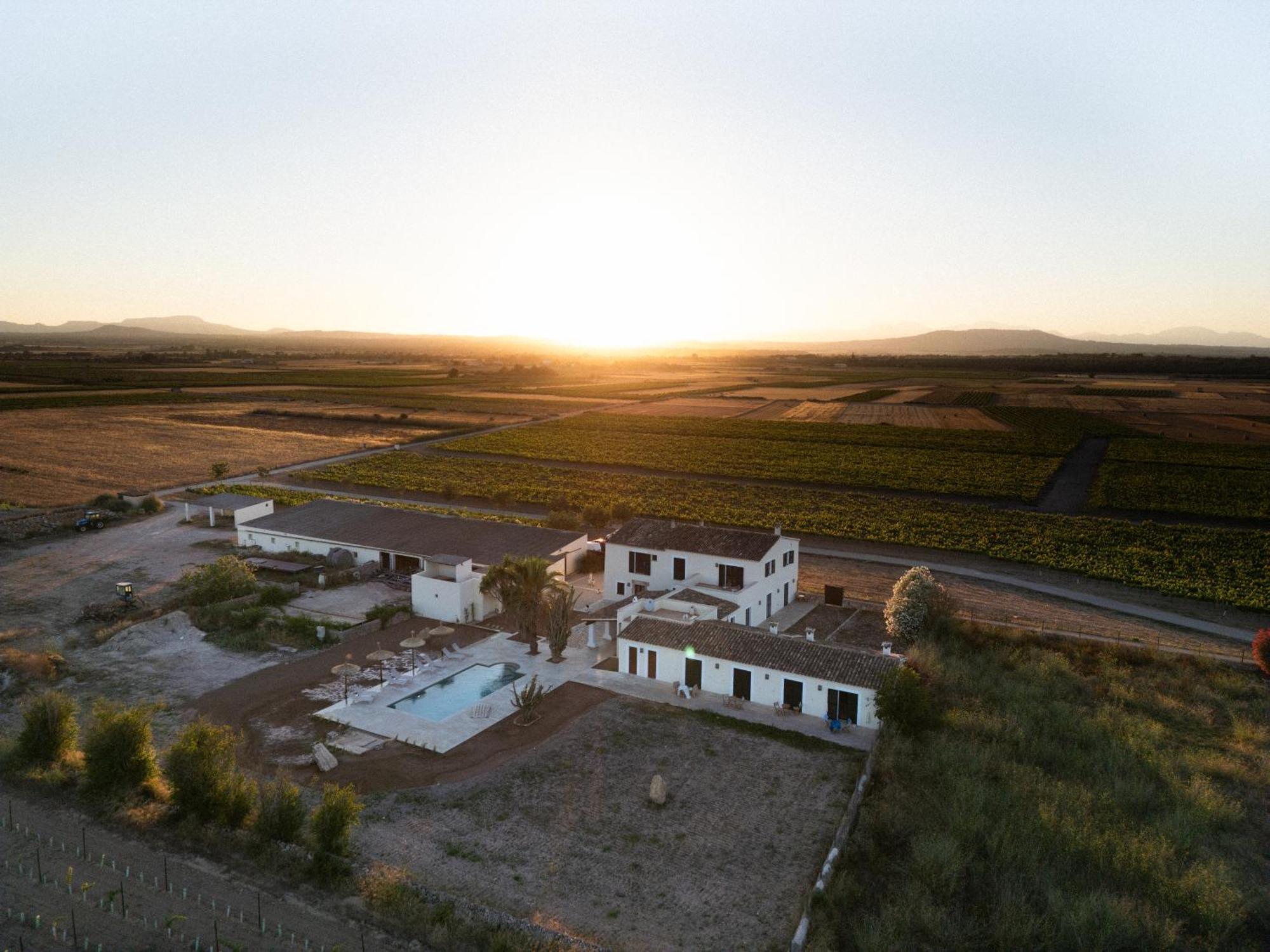 Vino Resort Son Amaret Son Macia  Екстериор снимка
