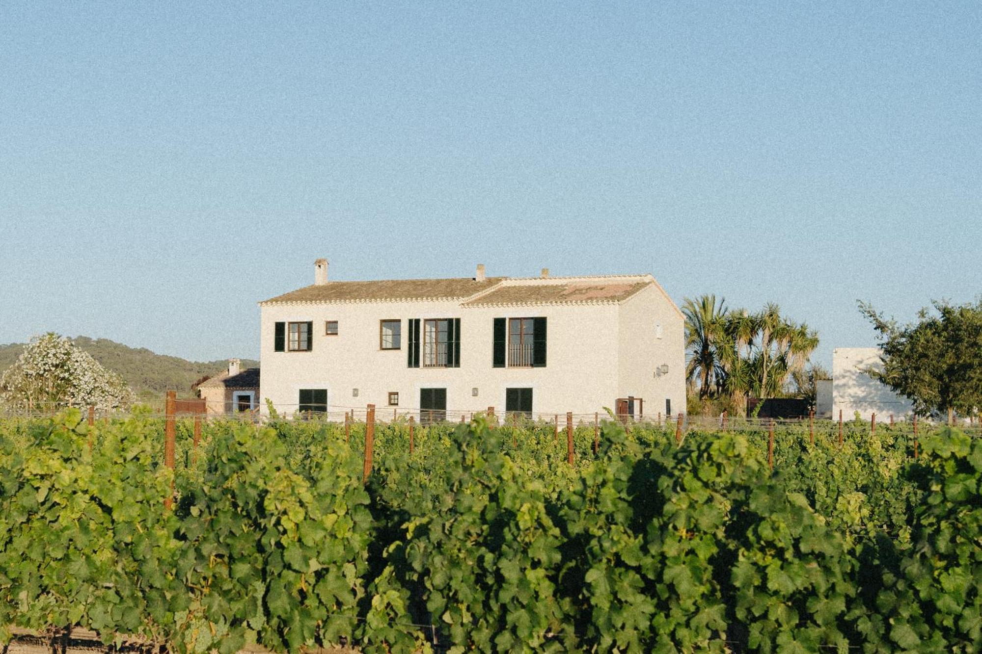 Vino Resort Son Amaret Son Macia  Екстериор снимка